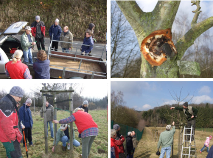 Sortenvielfalt und Artenreichtum