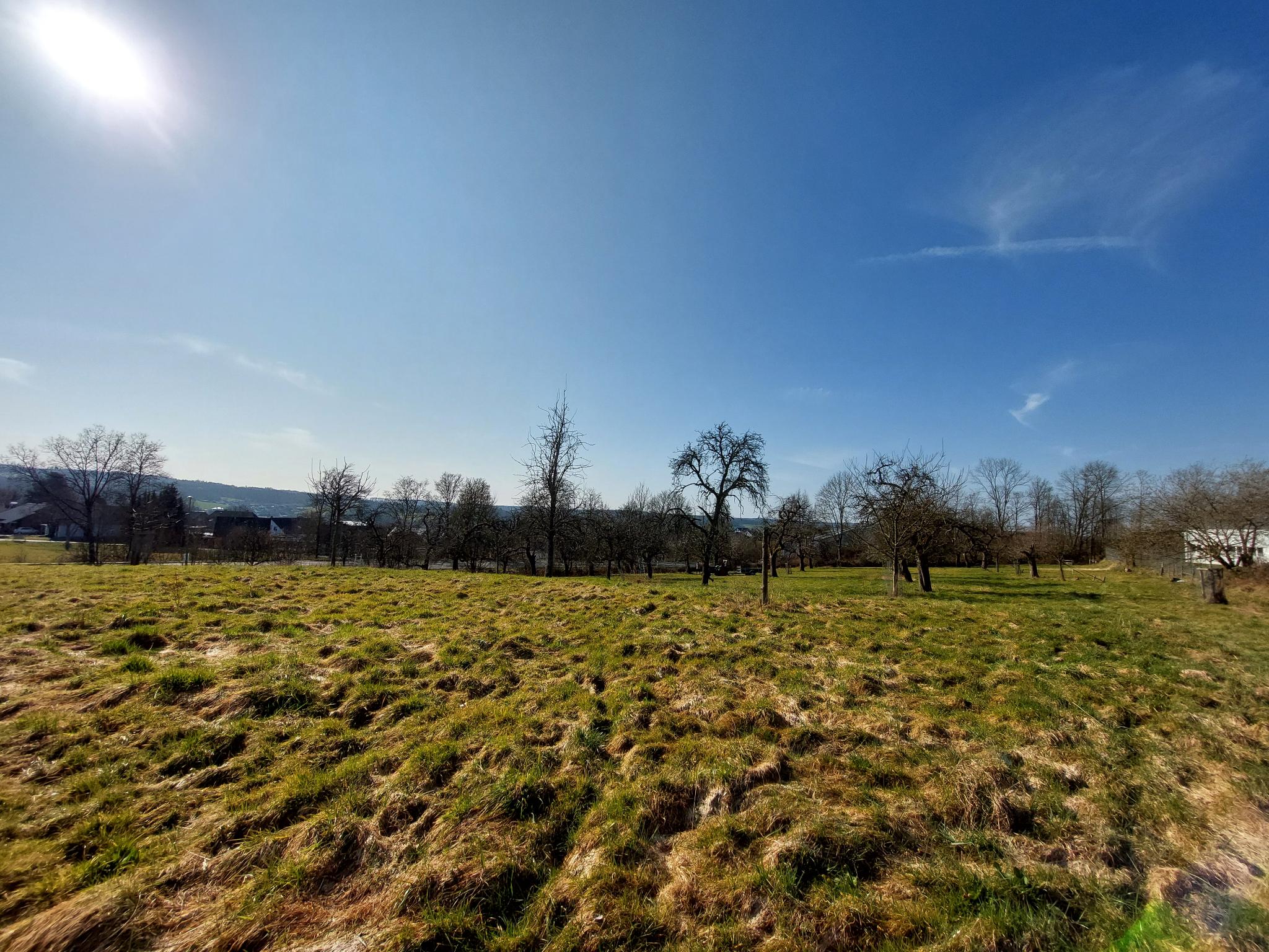 Sortenvielfalt und Artenreichtum