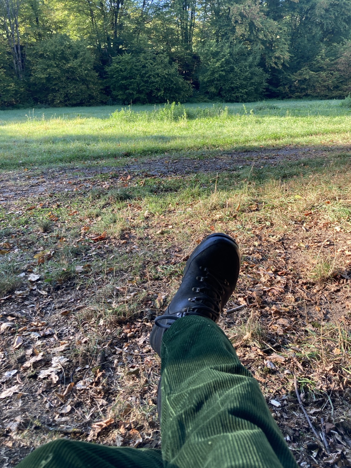 Wanderung in der Nutscheid