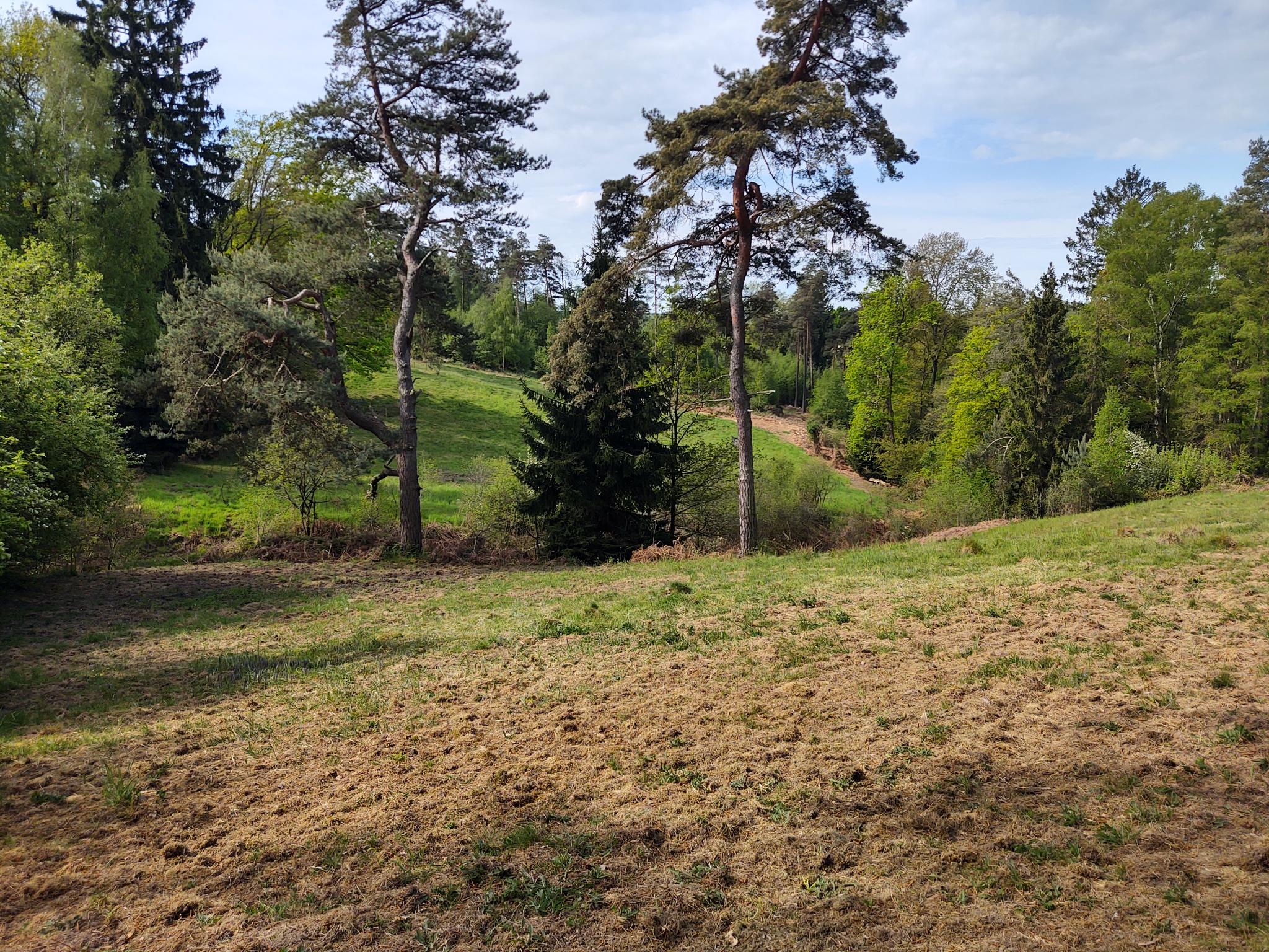Arbeitseinsatz