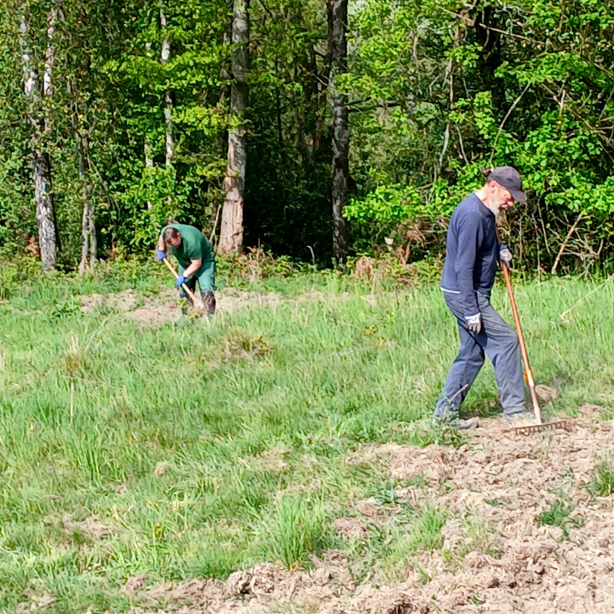Arbeitseinsatz